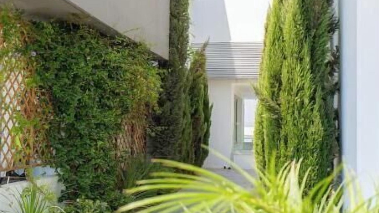Photo of Outdoor in Larnaca