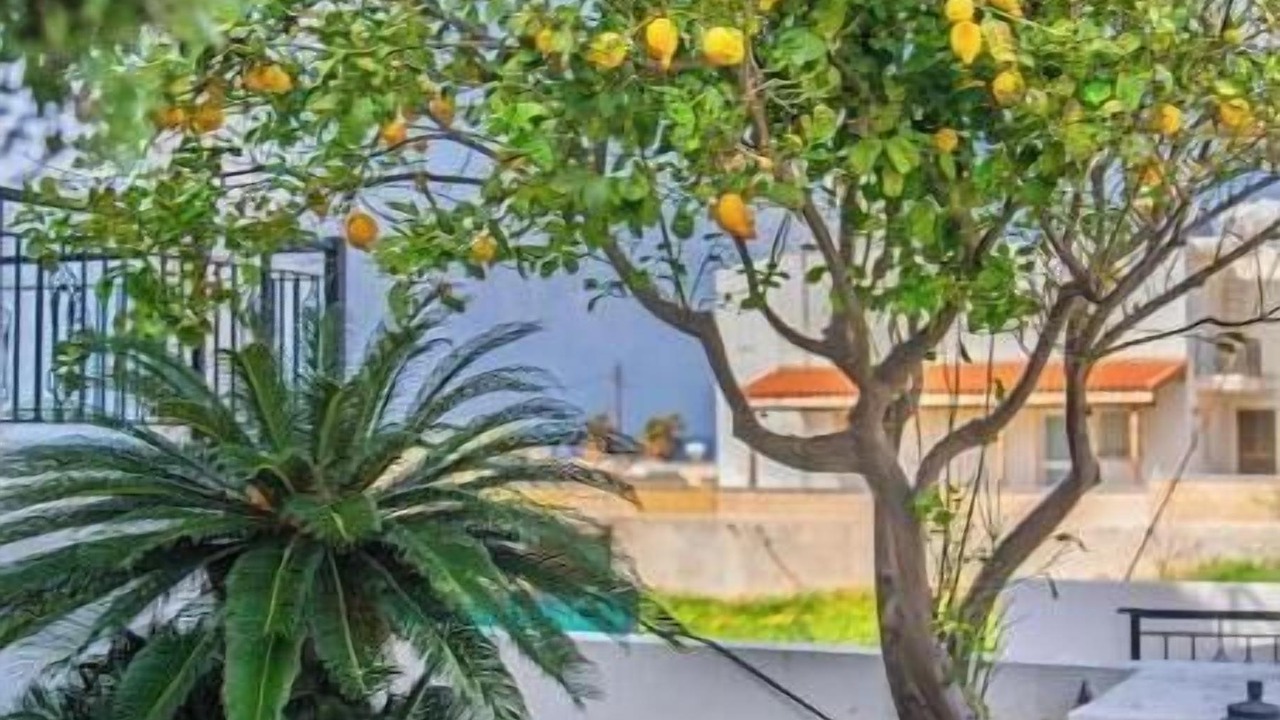 Photo of Outdoor in Pomos