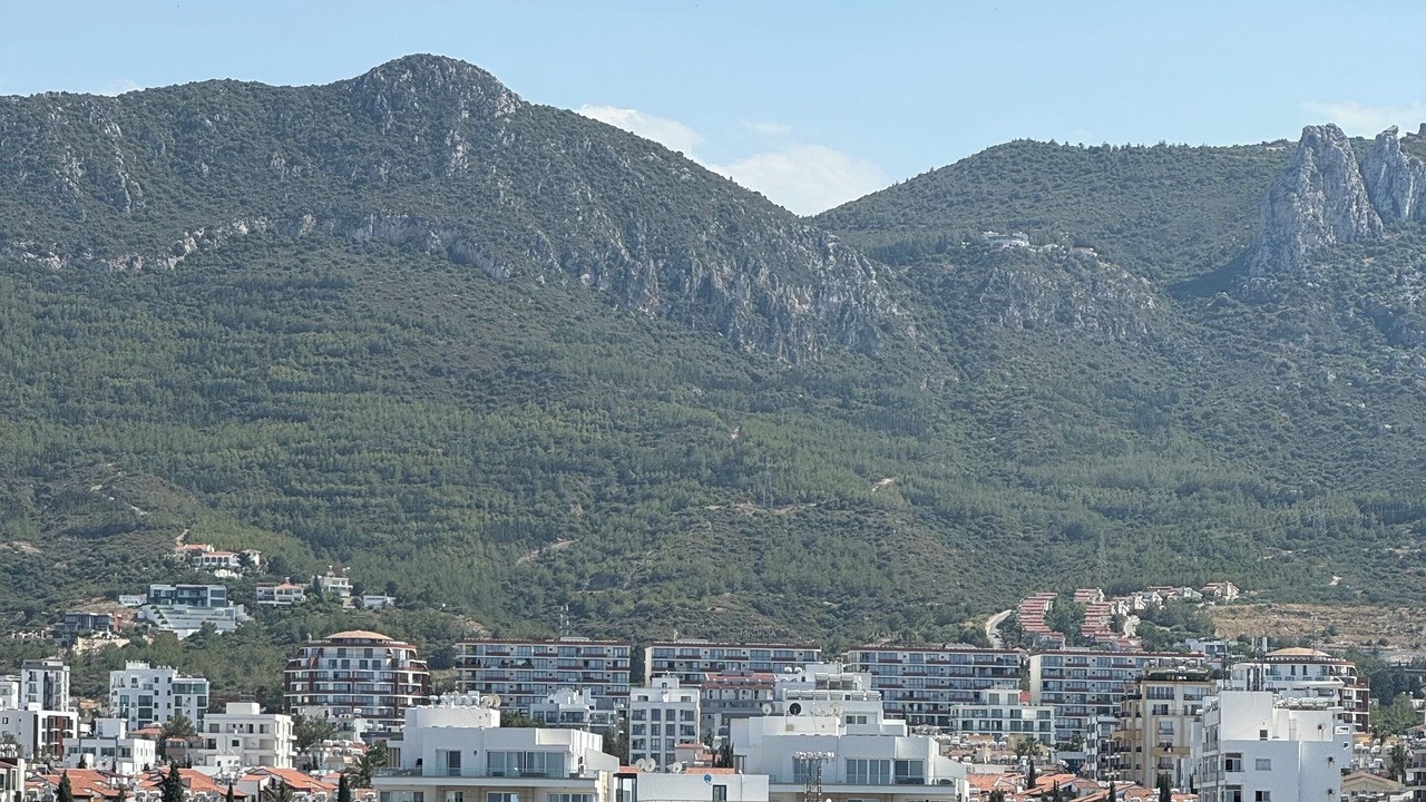 Photo of Others in Zeytinlik