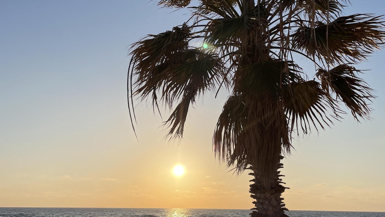 Photo of Others in Paphos
