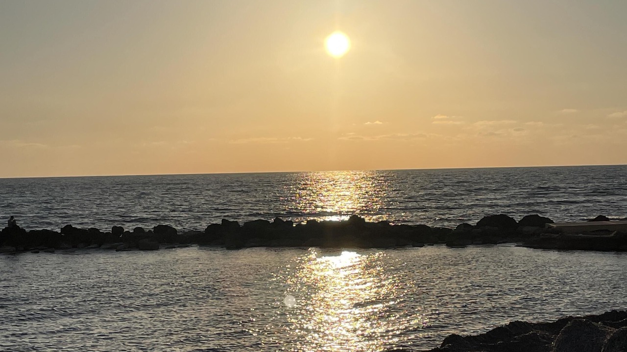 Photo of Others in Paphos