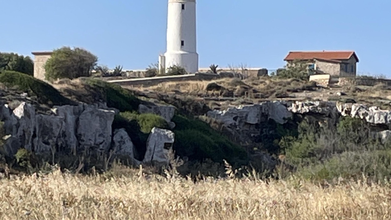 Photo of Others in Paphos