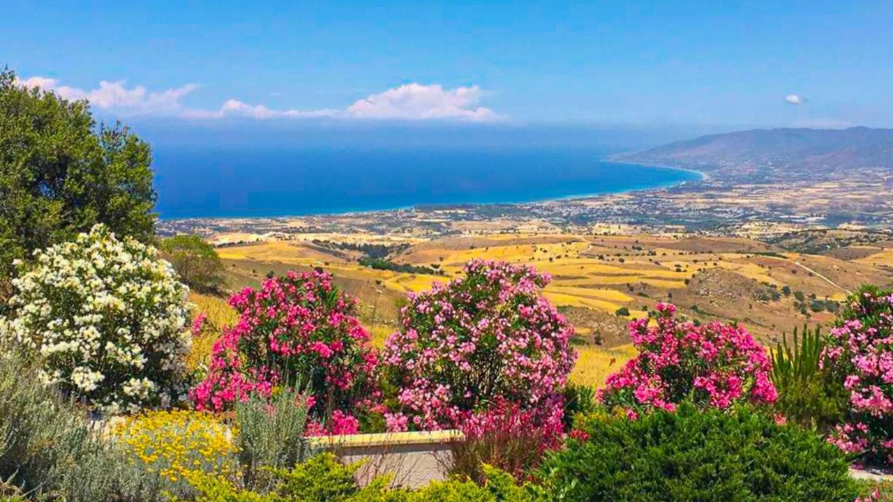 Photo of Outdoor in Lara