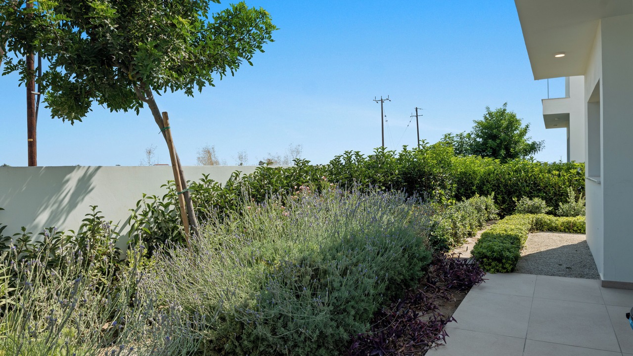 Photo of Outdoor in Softades