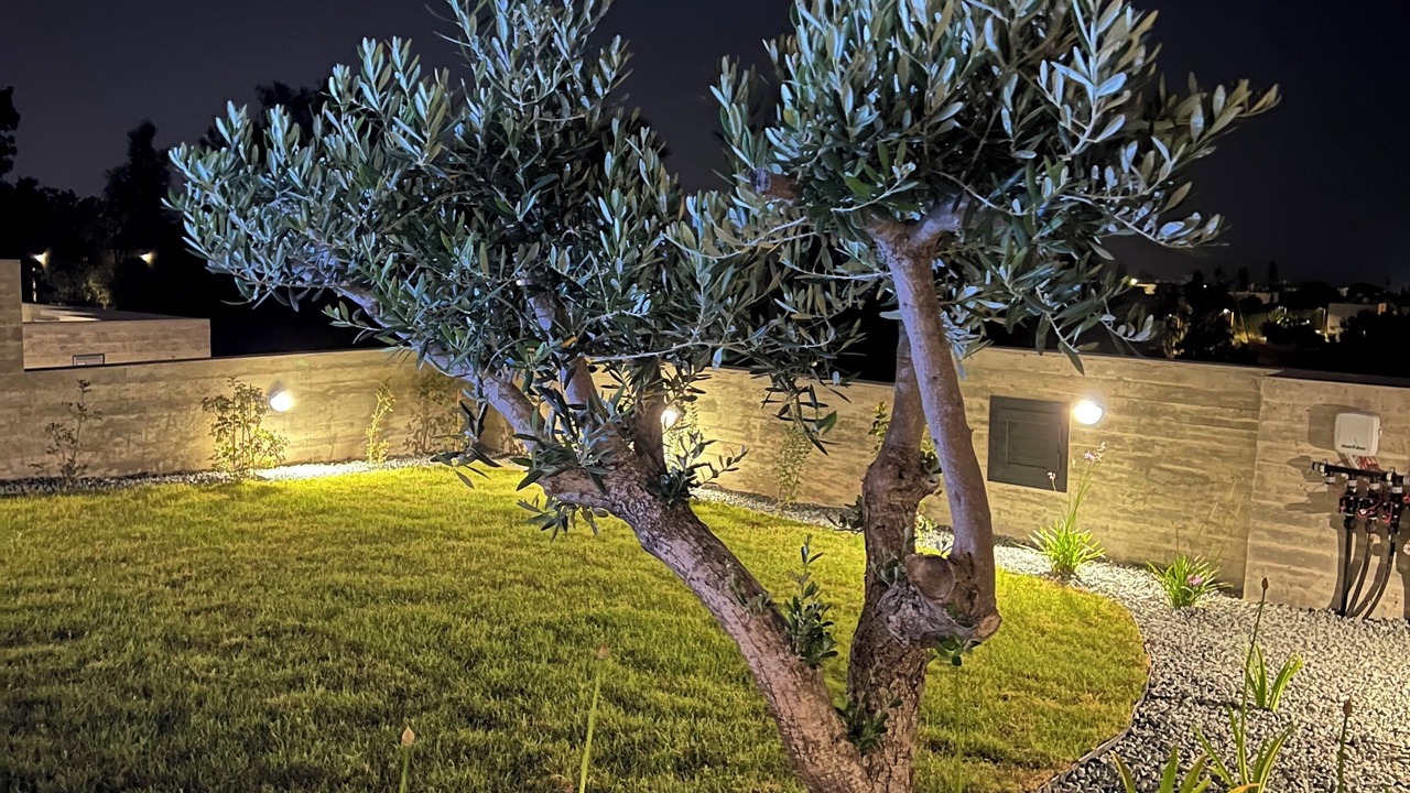 Photo of Outdoor in Chlorakas
