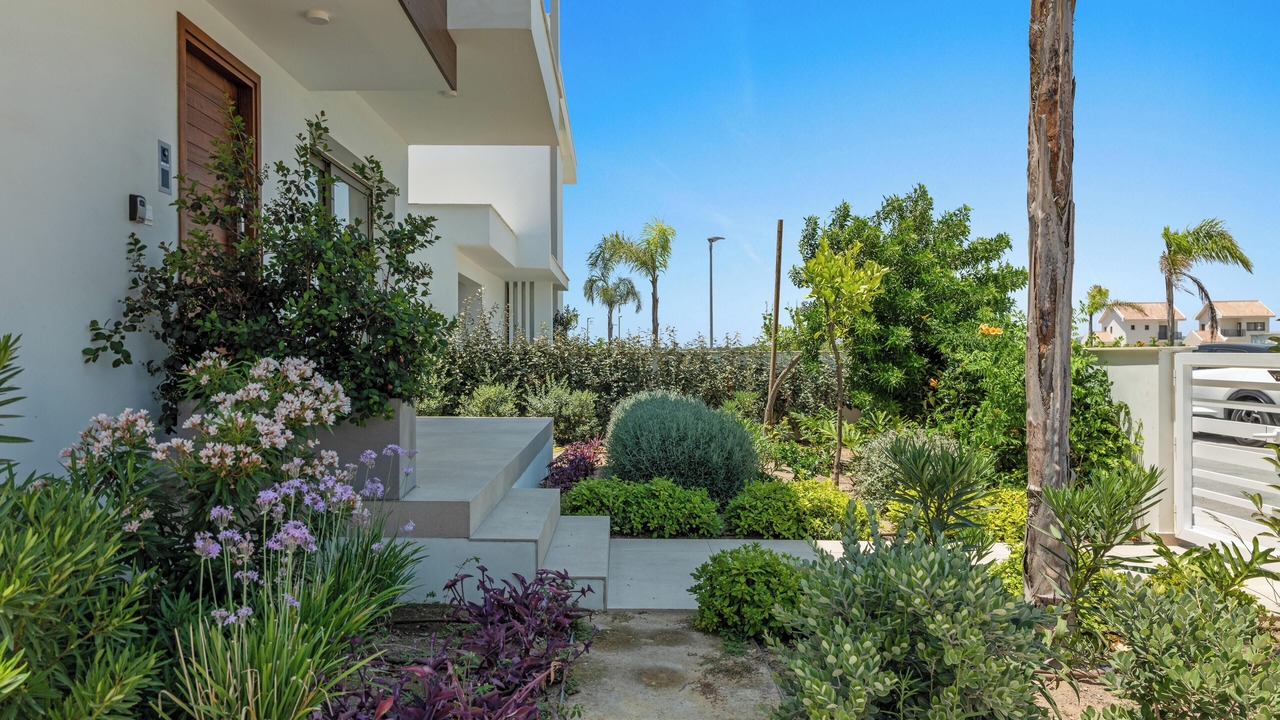 Photo of Outdoor in Softades