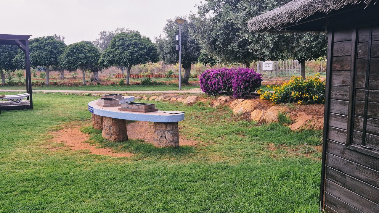 Photo of Outdoor in Bafra