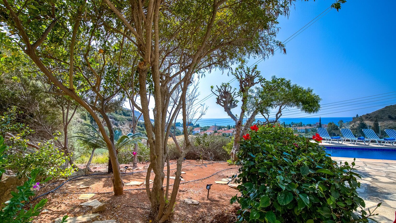 Photo of Outdoor in Pissouri