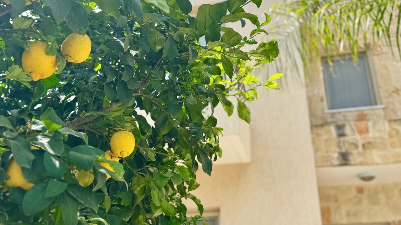 Photo of Outdoor in Konia
