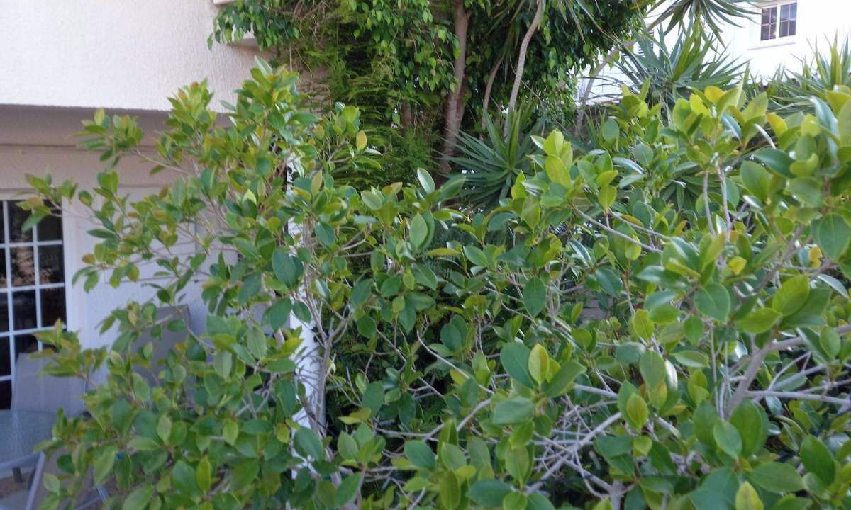 Photo of Others in Anarvagos