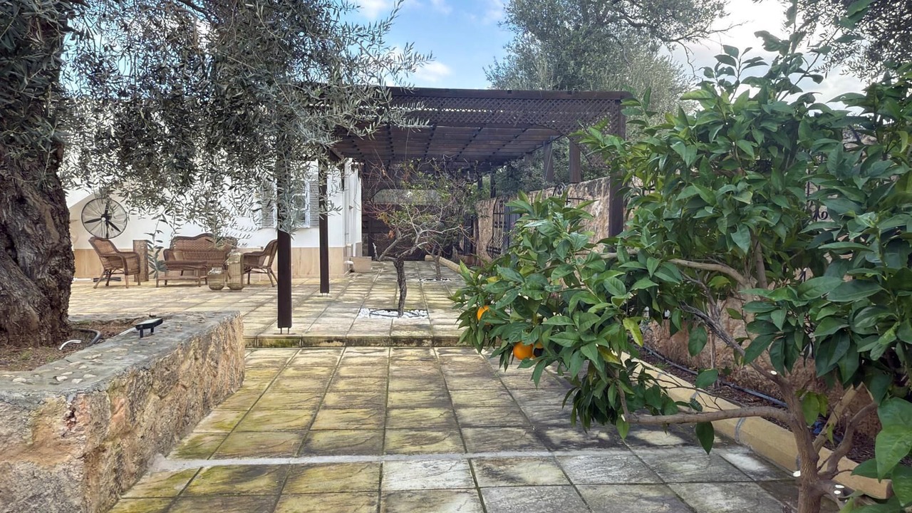 Photo of Patio Balcony in Zeytinlik
