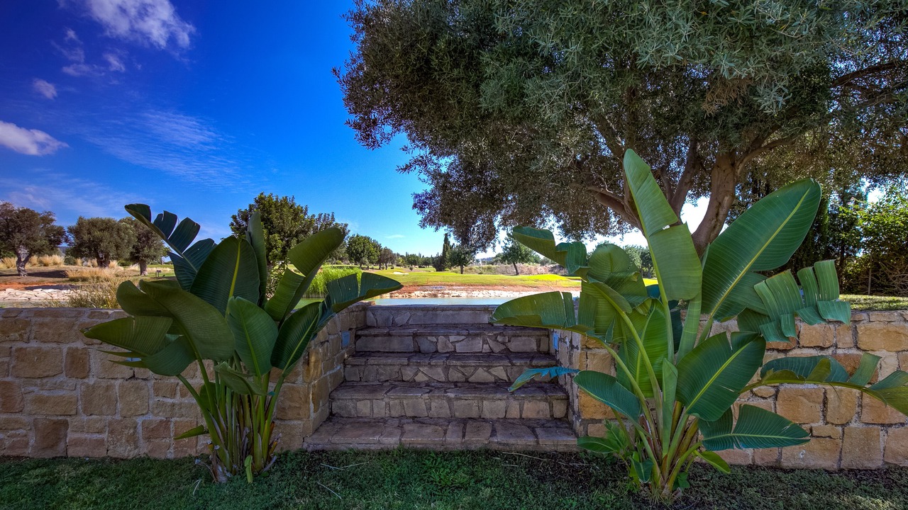 Photo of Outdoor in Aphrodite Hills