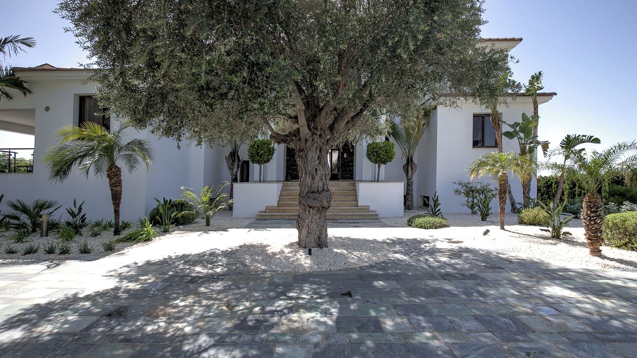 Photo of Outdoor in Tala