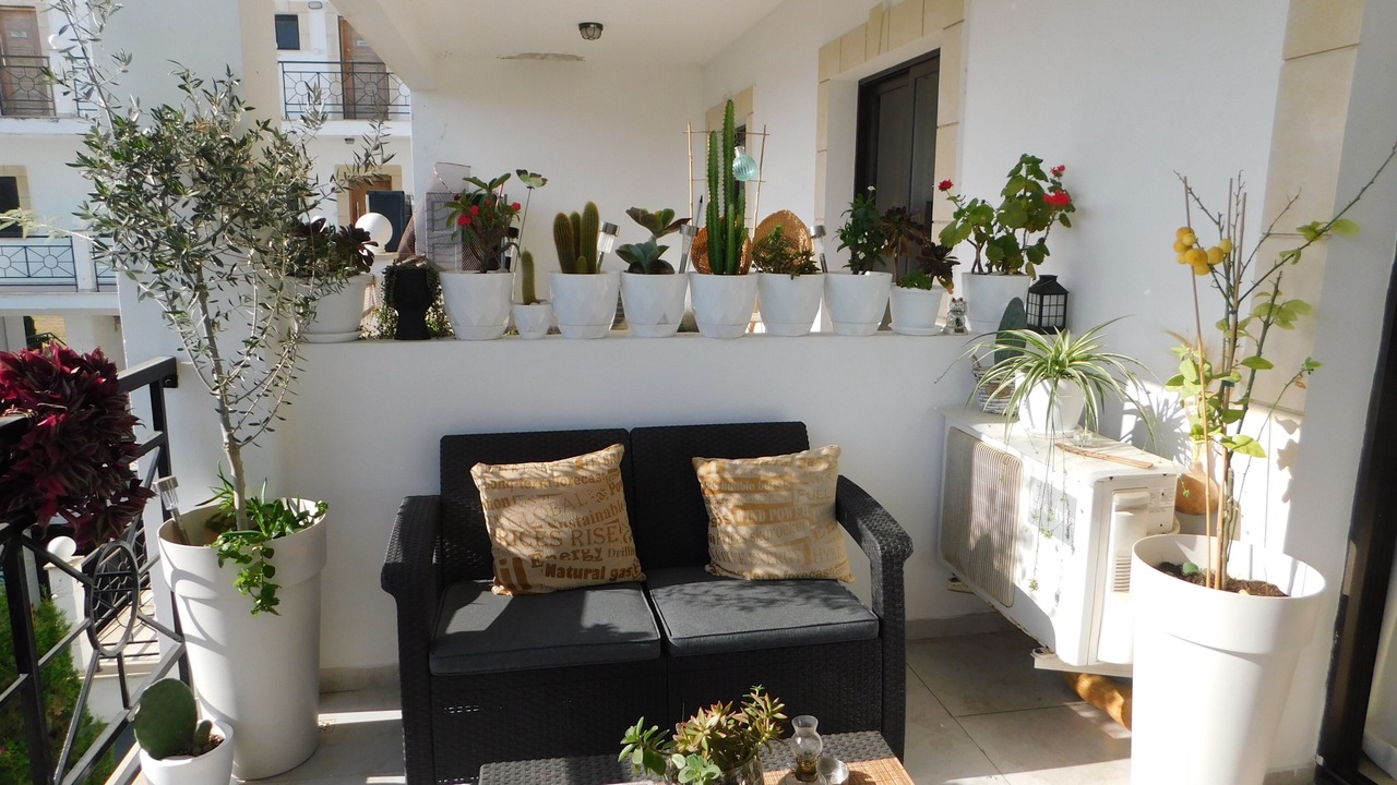 Photo of Outdoor in Tersefanou