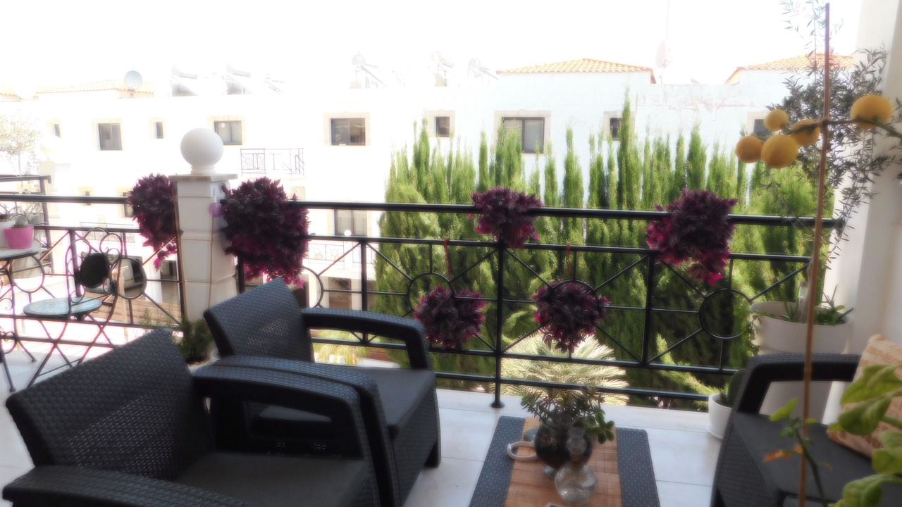 Photo of Outdoor in Tersefanou