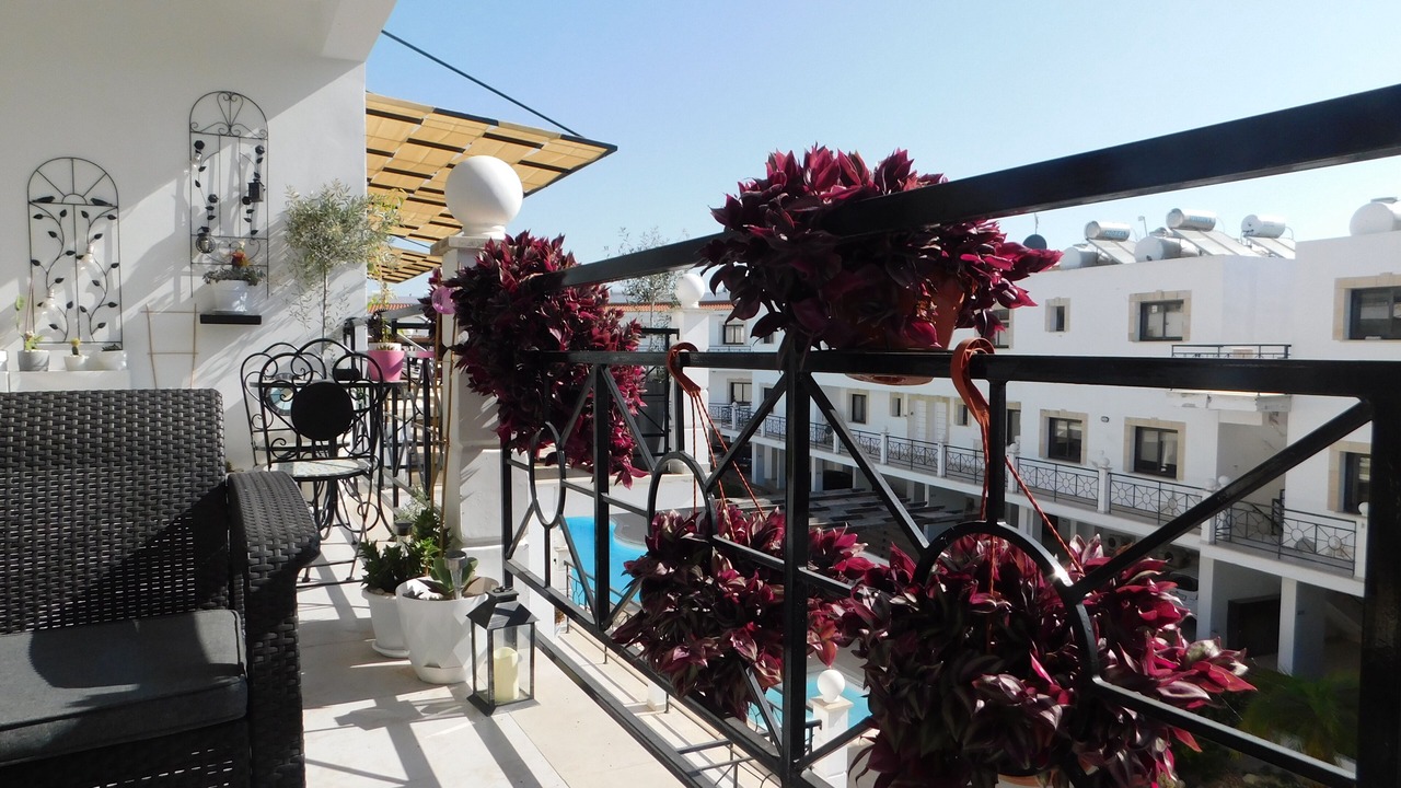 Photo of Outdoor in Tersefanou