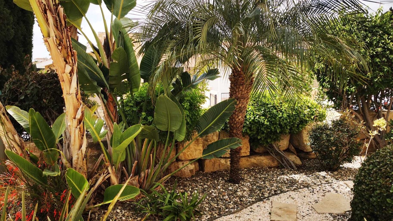 Photo of Outdoor in Tala