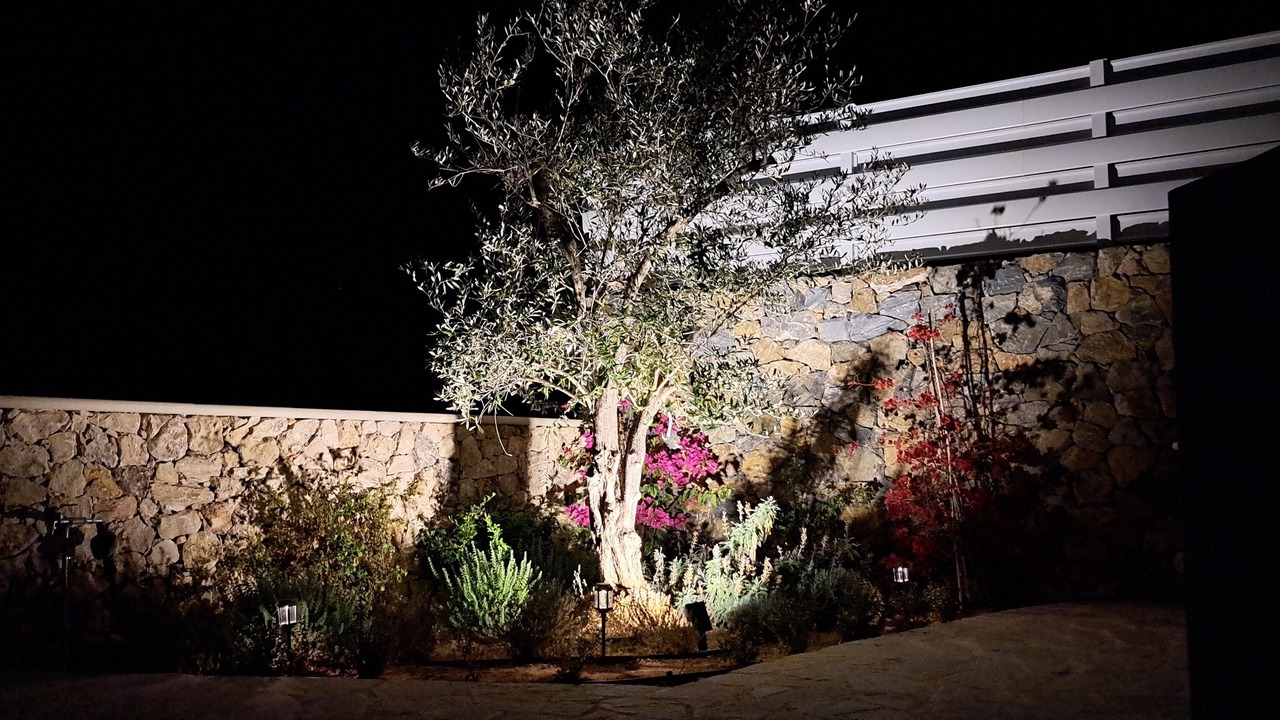 Photo of Outdoor in Chlorakas