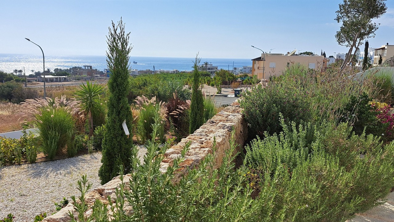 Photo of Outdoor in Chlorakas