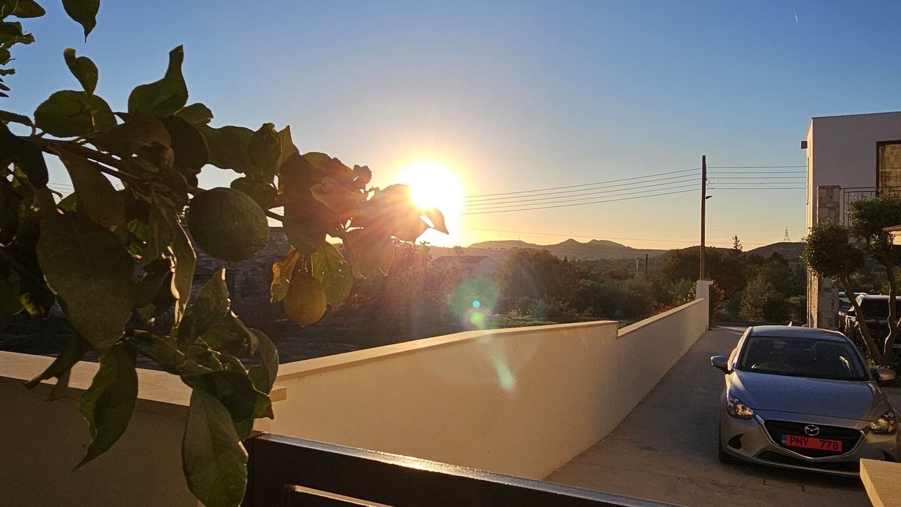 Photo of Others in Skarinou