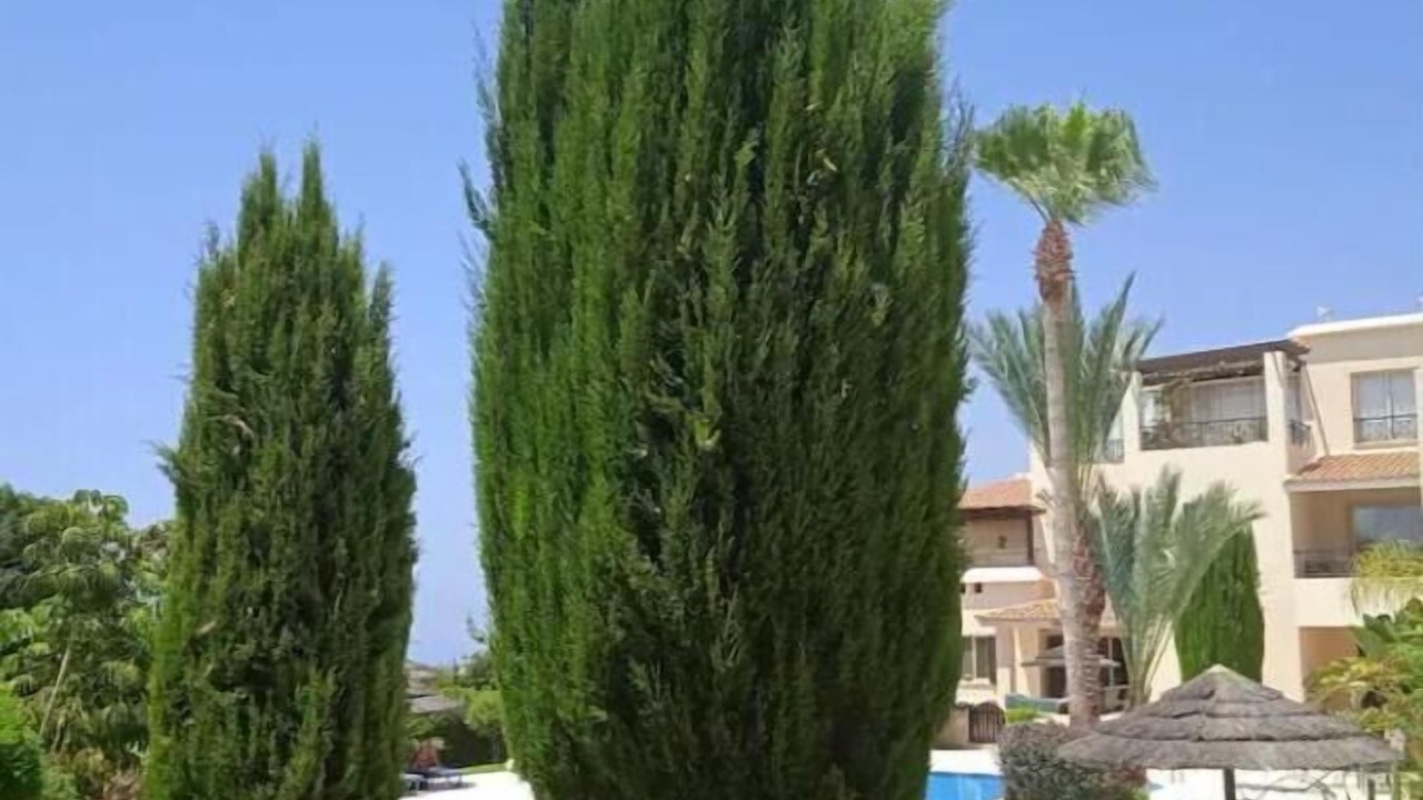 Photo of Outdoor in Tala