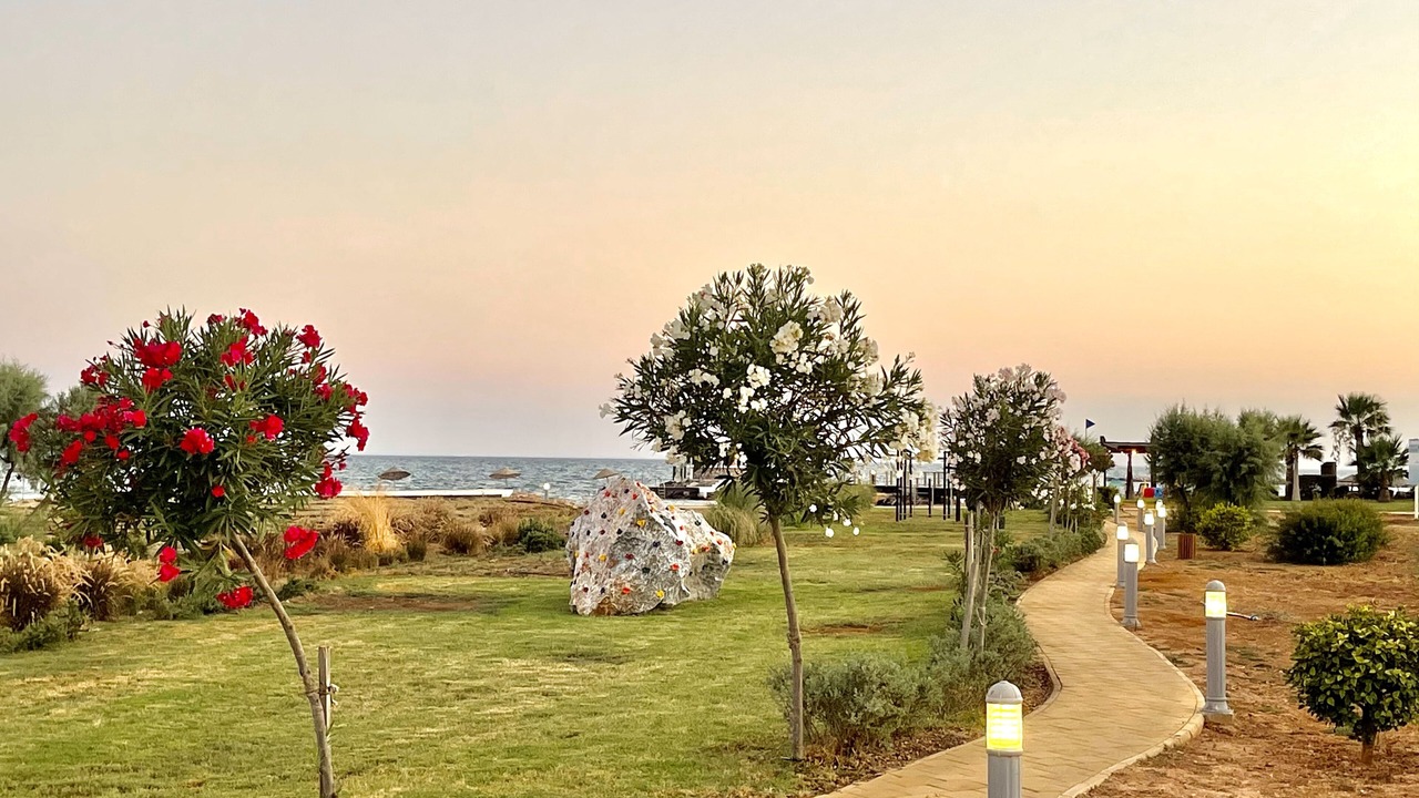 Photo of Outdoor in Bafra