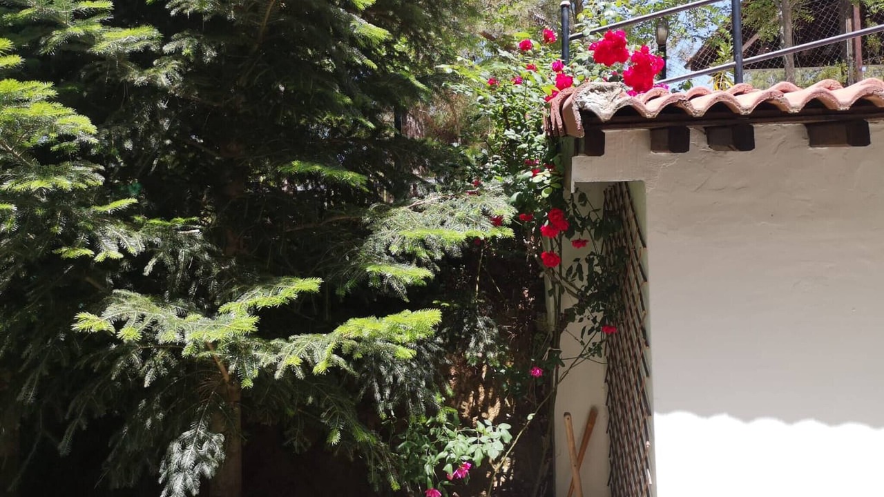 Photo of Outdoor in Platres