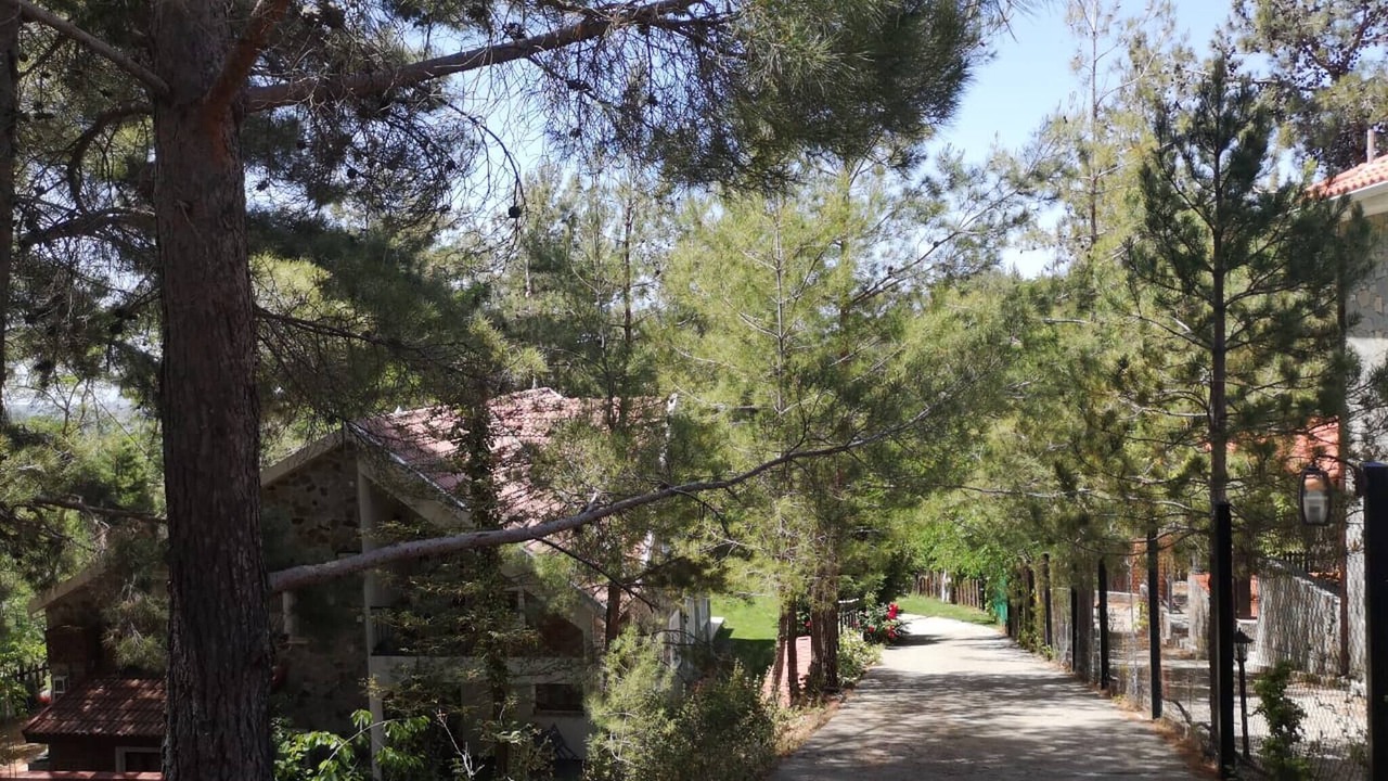 Photo of Outdoor in Platres