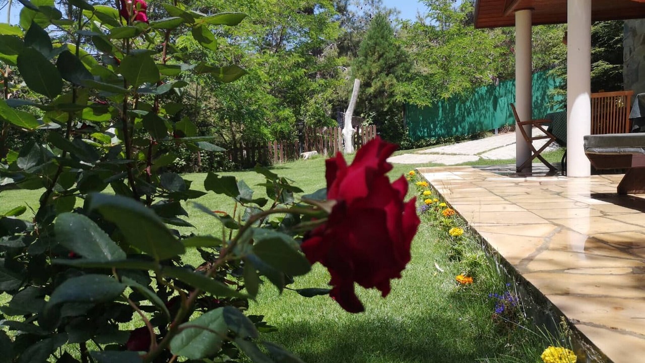 Photo of Outdoor in Platres