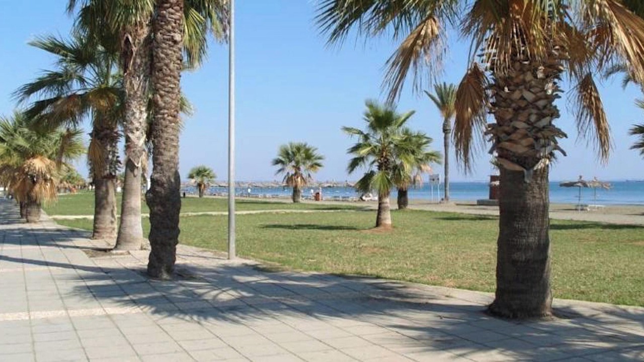 Photo of Others in Tersefanou