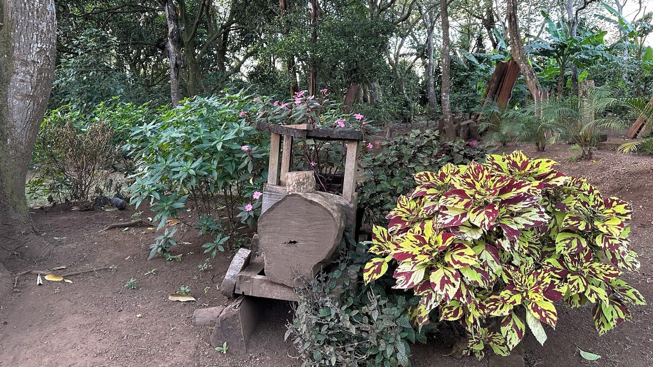 Photo of Outdoor in Diriamba