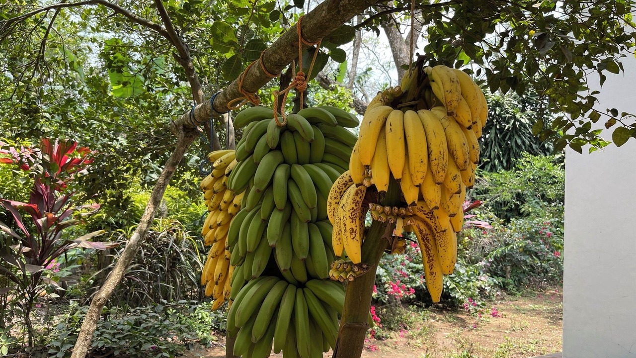 Photo of Outdoor in Diriamba