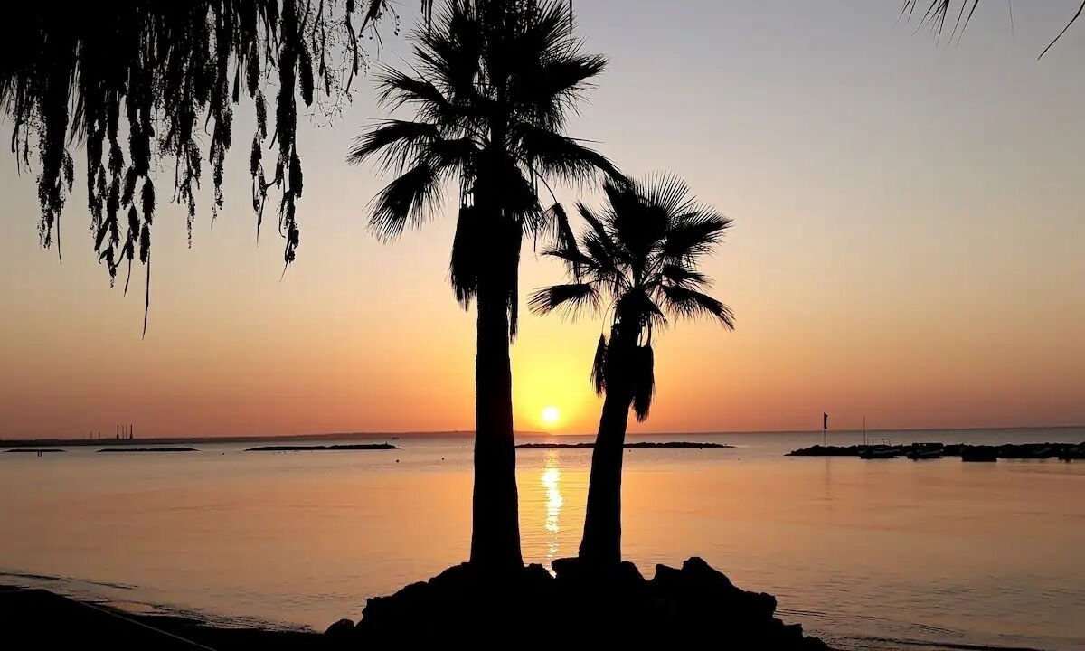Photo of Others in Pyla