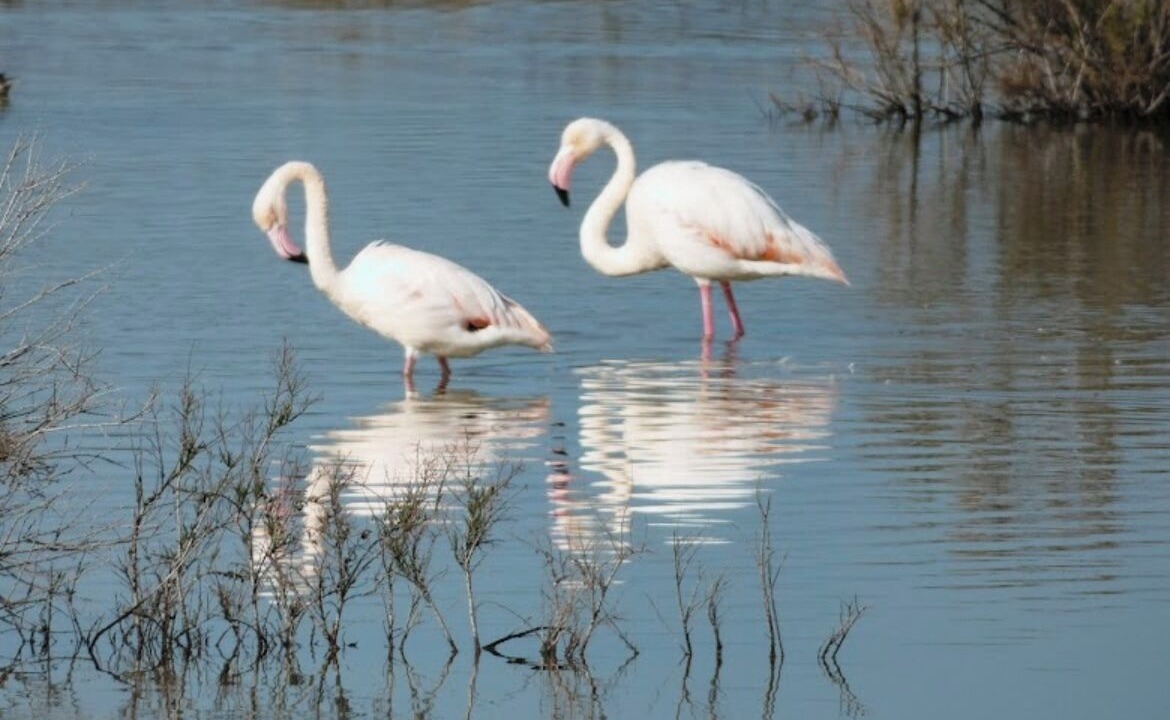 Photo of Others in Oroklini