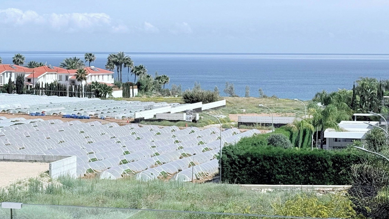 Photo of Others in Kapparis