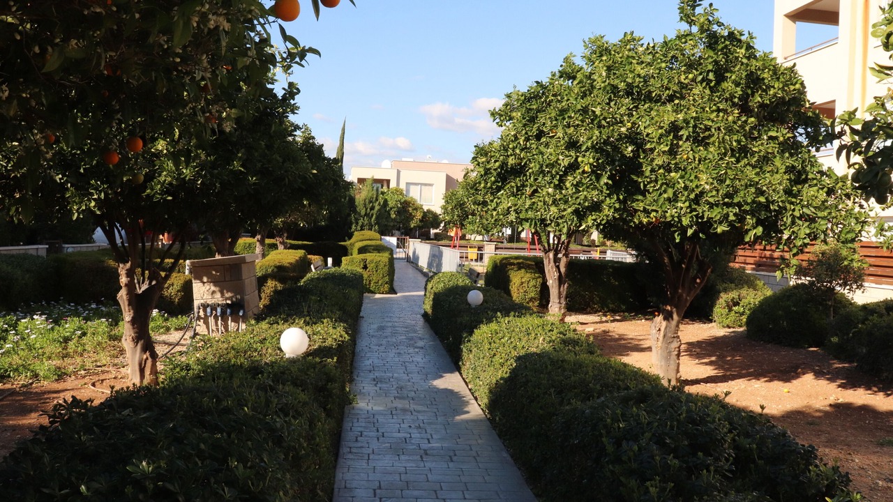 Photo of Outdoor in Mandria