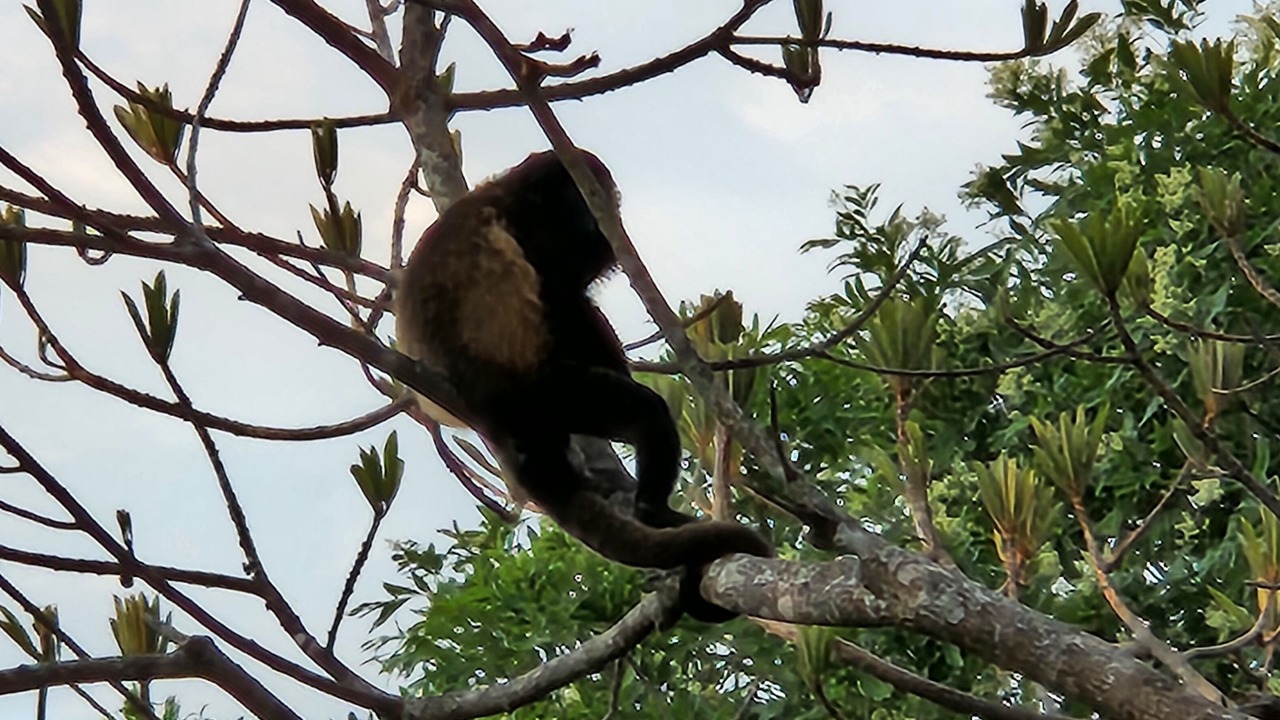 Photo of Others in San Juan de Oriente
