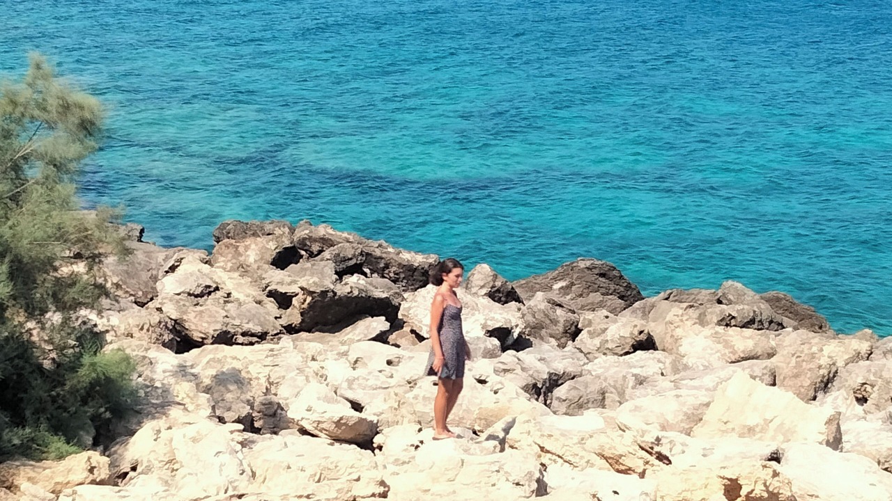 Photo of Others in Gastria