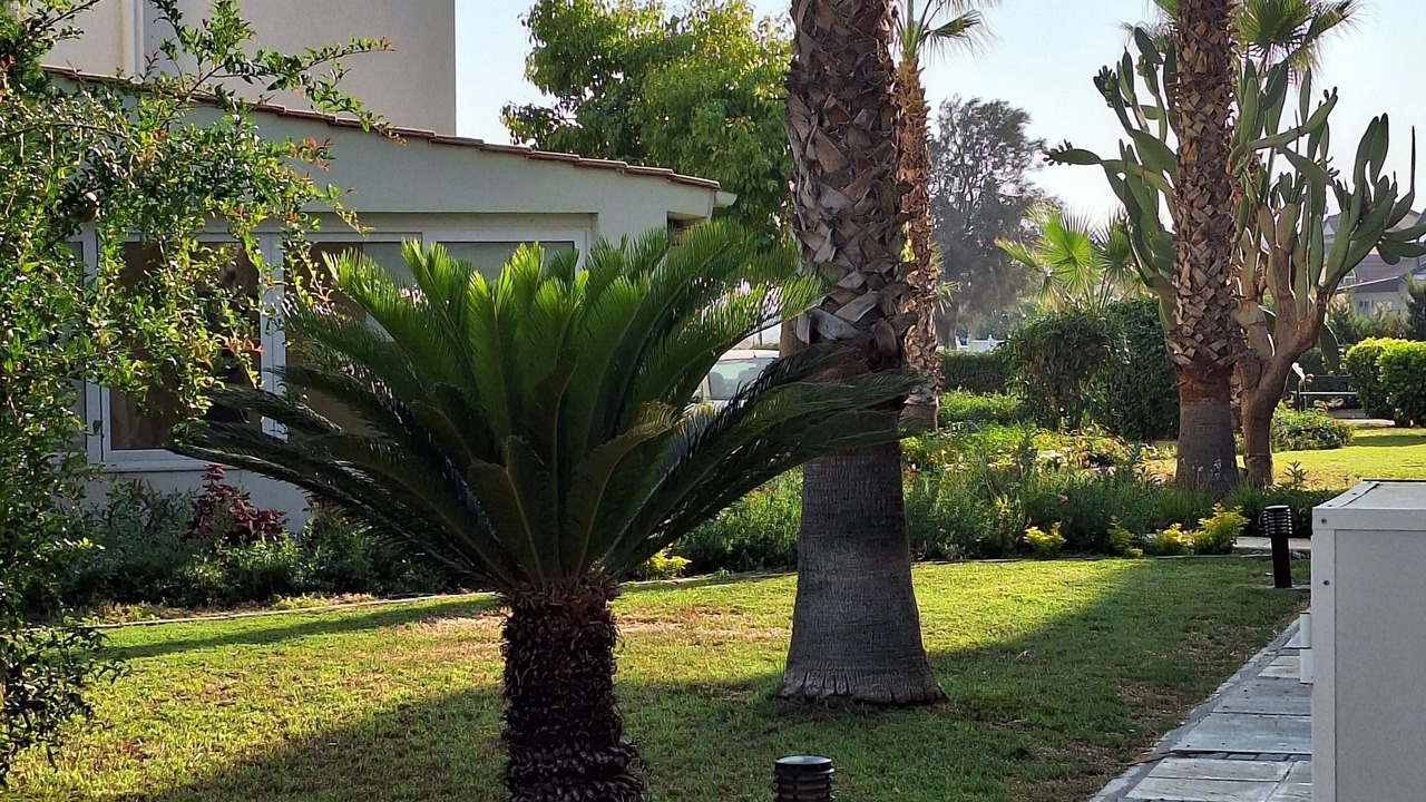 Photo of Outdoor in Gastria