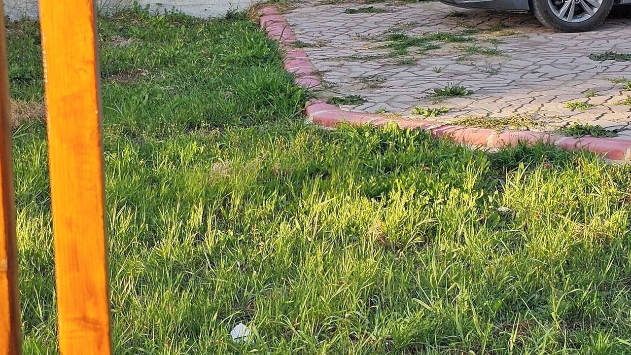 Photo of Outdoor in Karsiyaka
