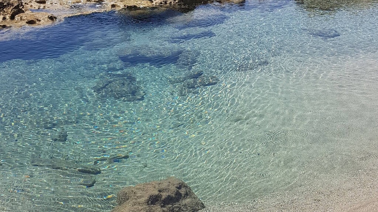 Photo of Others in Karsiyaka