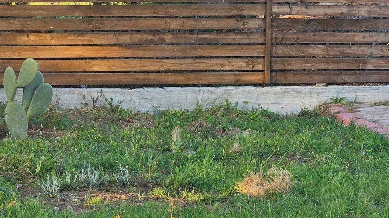 Photo of Outdoor in Karsiyaka
