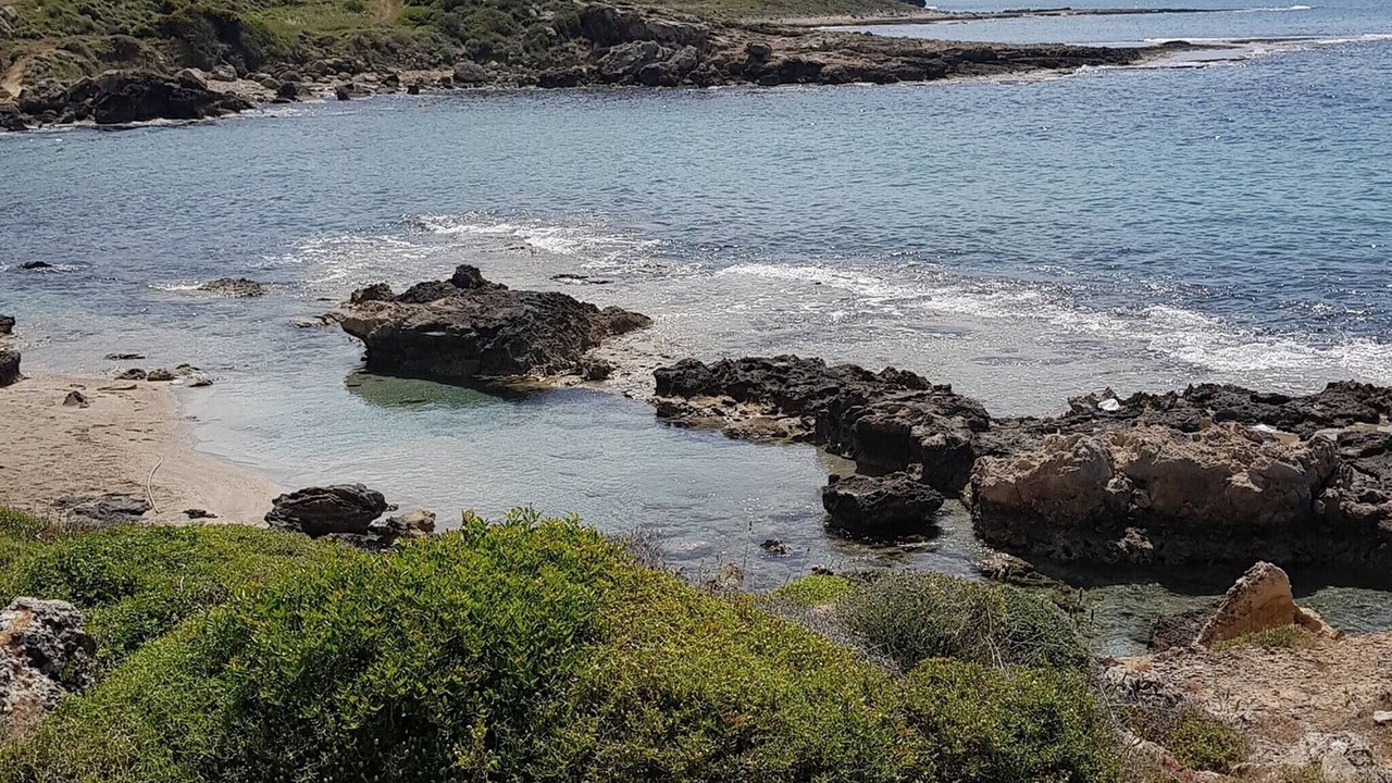 Photo of Others in Karsiyaka