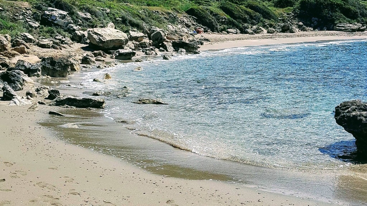 Photo of Others in Karsiyaka