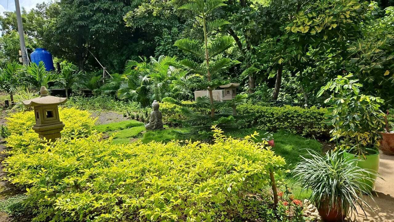 Photo of Outdoor in Western Nicaragua