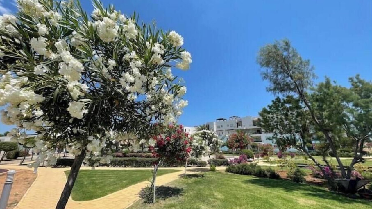 Photo of Outdoor in Bafra