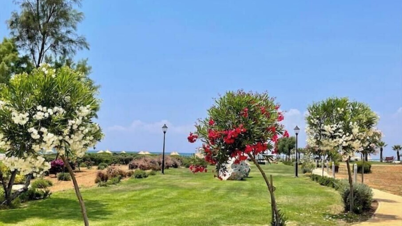 Photo of Outdoor in Bafra