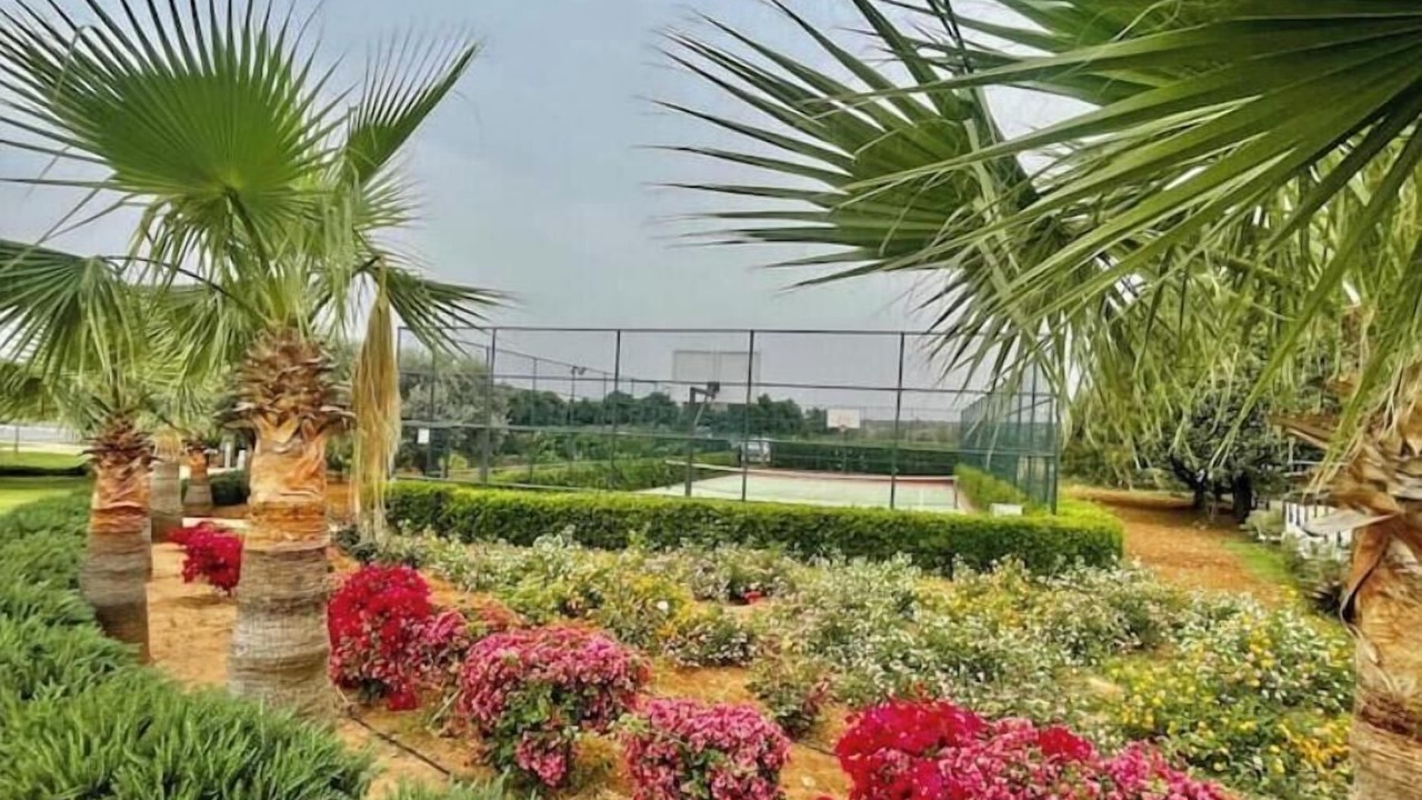 Photo of Outdoor in Bafra