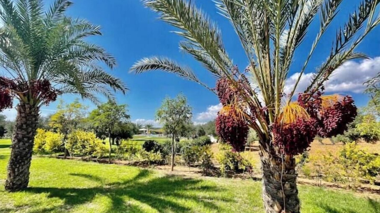 Photo of Outdoor in Bafra