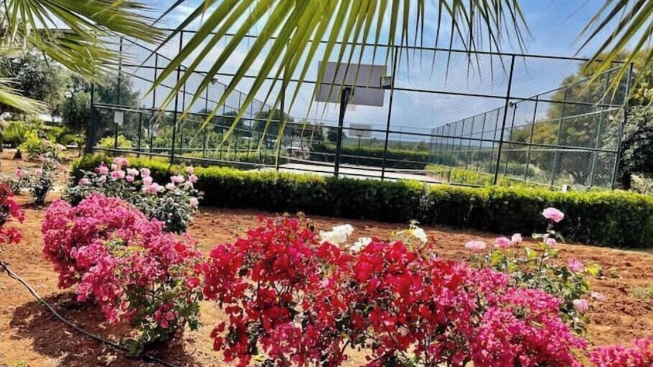 Photo of Outdoor in Bafra